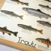 画像2: Trouts ポスター額装（サイズ約85×62×高さ3ｃｍ） (2)