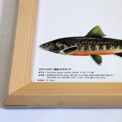 画像4: Trouts ポスター額装（サイズ約85×62×高さ3ｃｍ）
