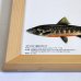 画像4: Trouts ポスター額装（サイズ約85×62×高さ3ｃｍ） (4)