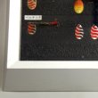 画像4: ダーディブルルアー額装（サイズ約47×78×高さ6.5ｃｍ） (4)