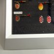 画像4: メップスルアー額装（サイズ約47×78×高さ6.5ｃｍ） (4)